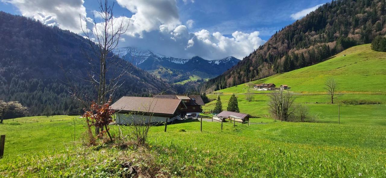 Fewo Allgaeuzeit Mit Wlan Oberstaufen Steibis 外观 照片